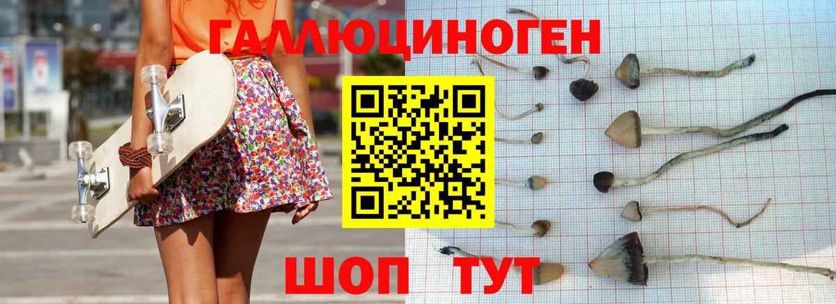 Северск  Псилоцибиновые грибы Magic Shrooms  Вход с VPN 