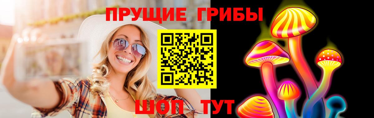 Псилоцибиновые грибы ЛСД Северск