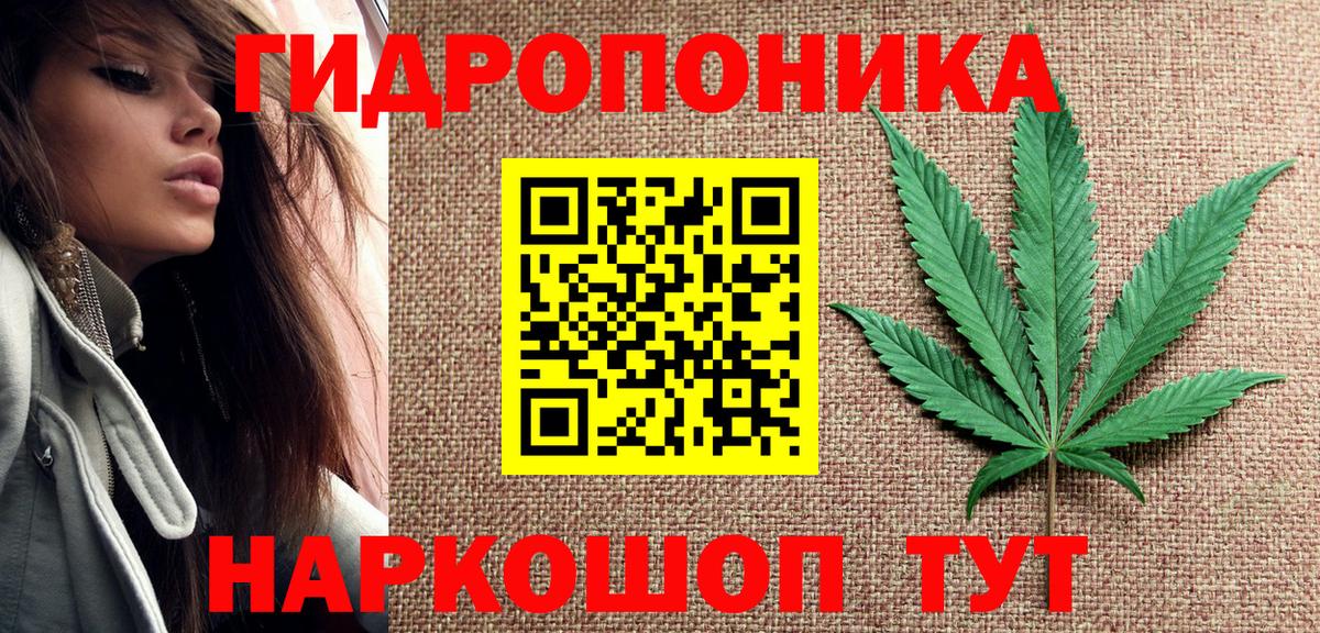 Шишки марихуана Amnesia  Каннабис VHQ  Северск  Вход с VPN  Бошки марихуана Bruce Banner 